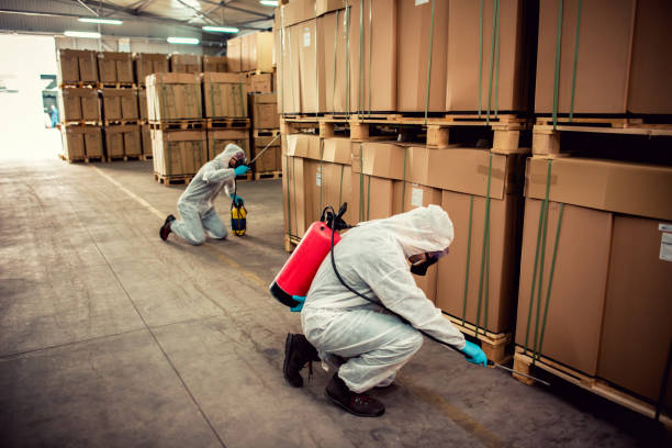 Best Pest Control Cost  in Boonville, CA