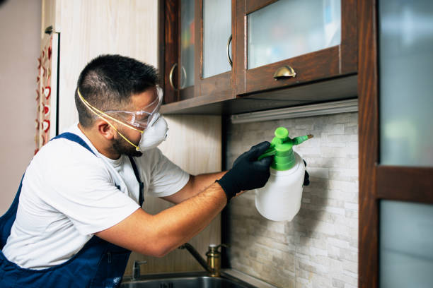 Boonville, CA Pest Control Company
