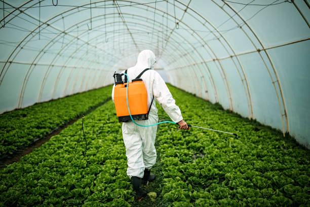 Best Best Pest Control Companies  in Boonville, CA