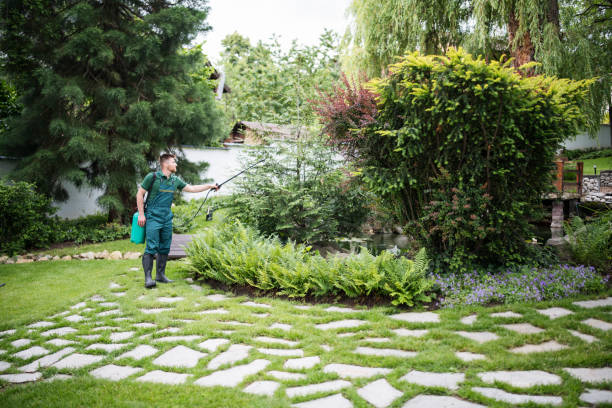 Best Wasp Removal Services  in Boonville, CA