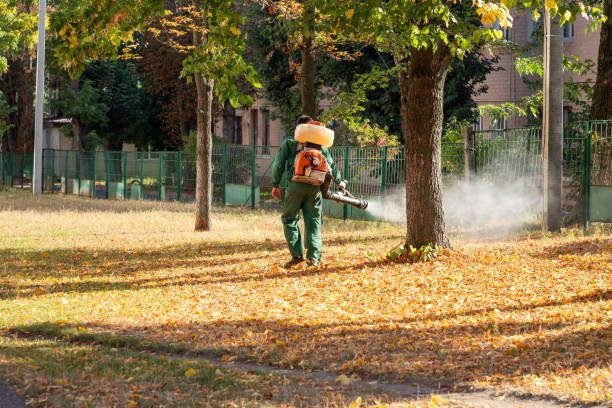 Best Pest Prevention Services  in Boonville, CA