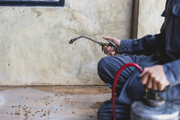 Best Affordable Pest Control Services  in Boonville, CA